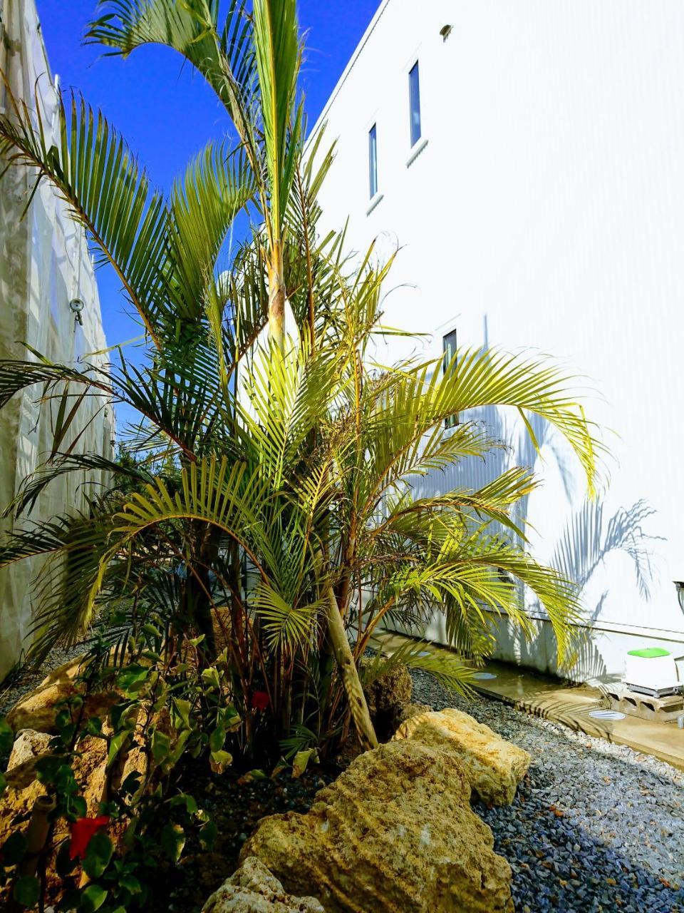 אונה Premium Cottage Comfort Okinawa מראה חיצוני תמונה
